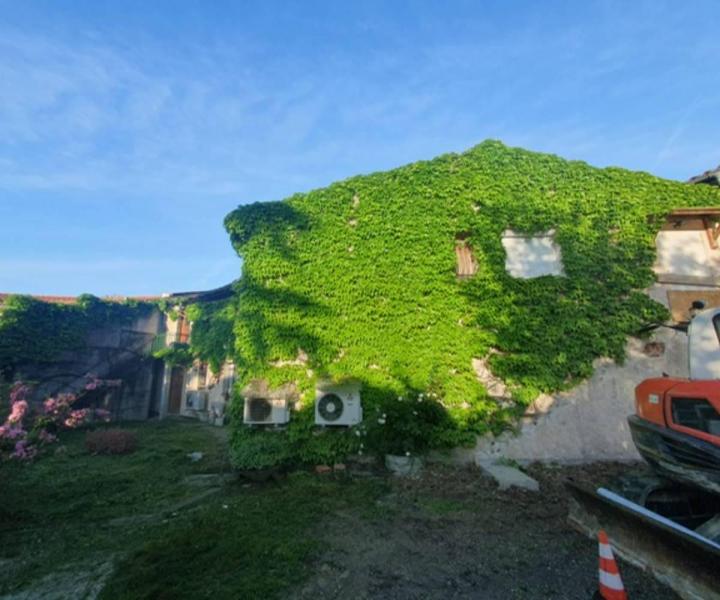 Entretien de toiture Muret