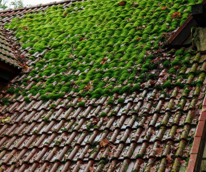 Entretien de toiture Muret