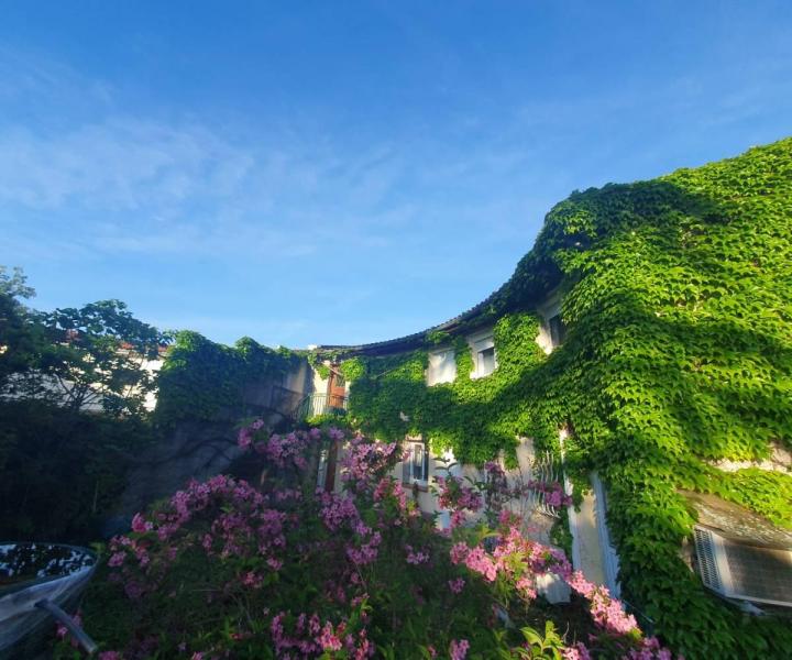 Nettoyage de toiture Muret